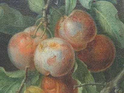 2 petits paysages du XIXe siècle pouvant...