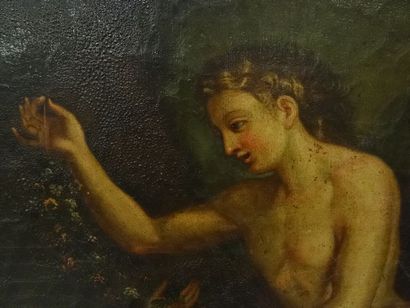 Ecole française vers 1700, Flore, Huile sur...