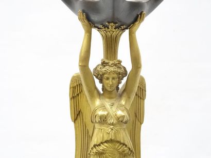 Paire de renommées en bronze, à 2 patines,...