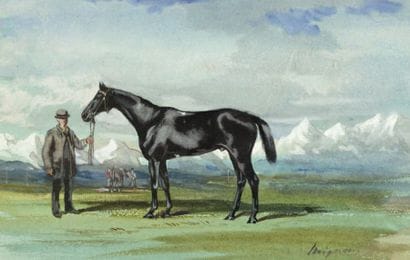 Baron Jules FINOT (1826-1906)
Mignon, cheval...