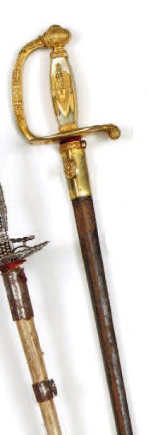 Épée de membre de l'Institut d'Égypte, garde...