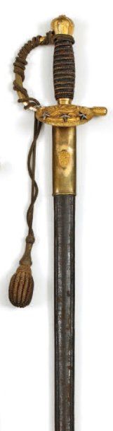 Forte-épée de général de division, curieux...
