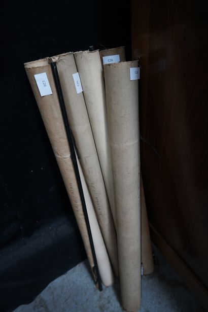 Cinq planches anatomiques