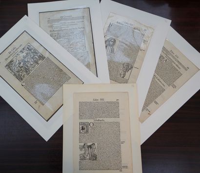 PAGES DE LIVRES - BOIS

Pages de livres texte...