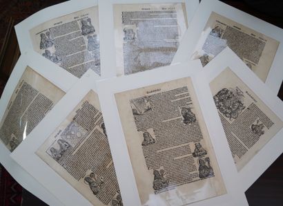 PAGES DE LIVRES ILLUSTRATIONS 

Bois, sujets...