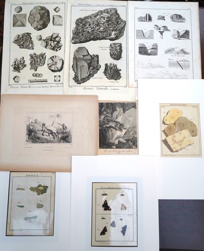 ANIMAUX, Réunion de planches d'Histoire Naturelle,...