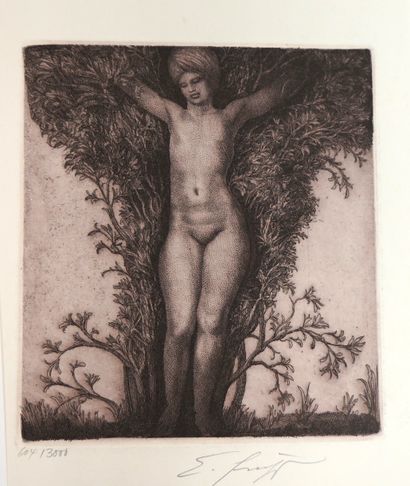 Ernst FUCHS (1930-2015)

Nu devant un arbre-...