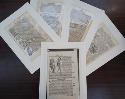 PAGES DE LIVRES - BOIS

Pages de livres texte...