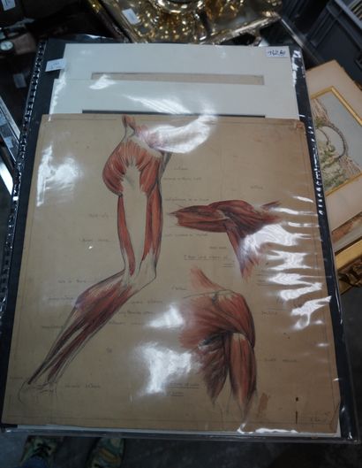 Réunion de trois aquarelles et gouaches sur...