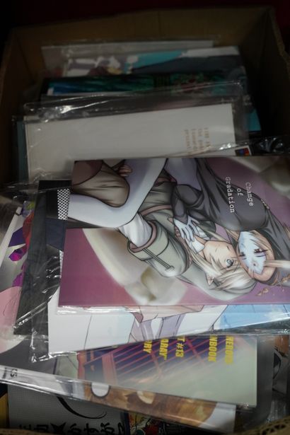 Un ensemble de mangas et produits dérivés.(...