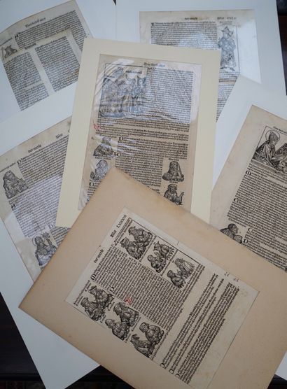 PAGES DE LIVRES ILLUSTRATIONS 

Bois, sujets...