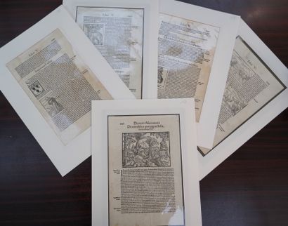 PAGES DE LIVRES - BOIS

Pages de livres texte...