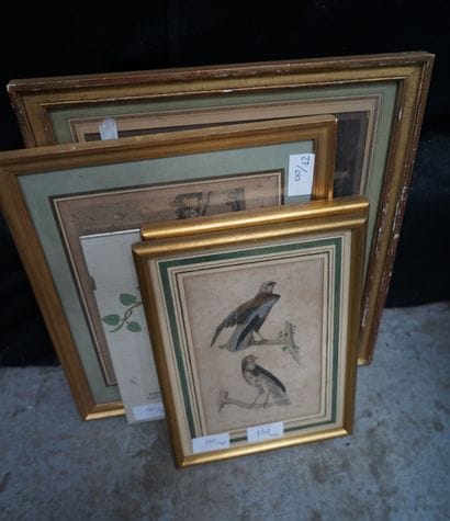 Réunion de cinq gravures; oiseaux, vue de...