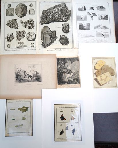 ANIMAUX, Réunion de planches d'Histoire Naturelle,...