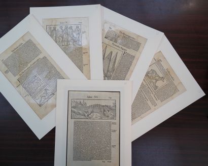 PAGES DE LIVRES - BOIS

Pages de livres texte...