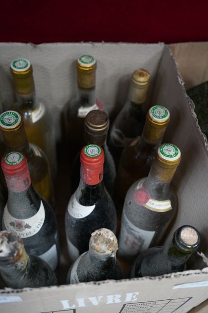 Réunion de 37 bouteilles de vin millésimes...