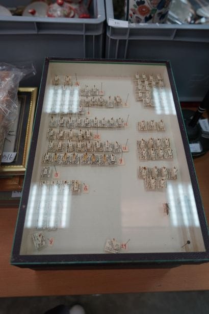 
Entomologie. Réunion d'insectes et scorpions,...