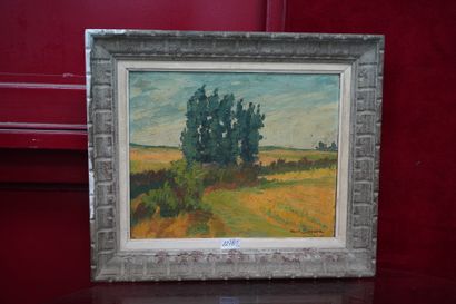 Albert Serrure (XXe), Paysage aux champs,...