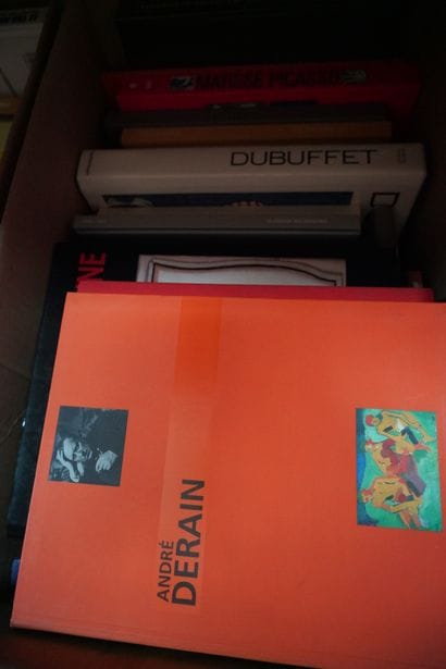Réunion de livres d'art : Matisse, Picasso,...