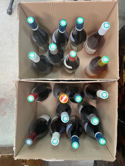 Réunion de bouteilles de vin : Pouilly Fuissé...