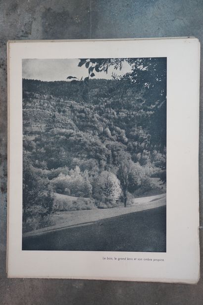 Réunion de cartes postales. On joint Barricades,...