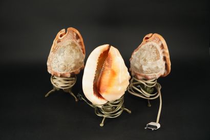 Trois coquillages sculptés, à décor de femmes...
