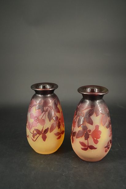 Emile Gallé (dans le goût de), Paire de vases...