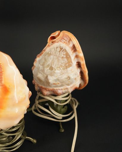 Trois coquillages sculptés, à décor de femmes...