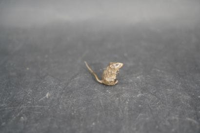 Souris.Sujet en bronze patiné dans le goût...