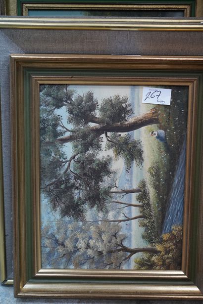 Réunion de pièces encadrées : paysages, gravures...