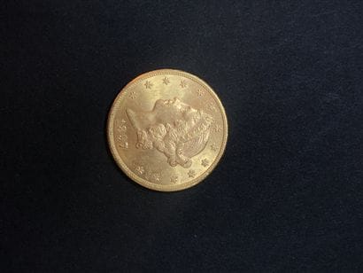 Pièce de vingt dollars or 1897. Poids : 33...