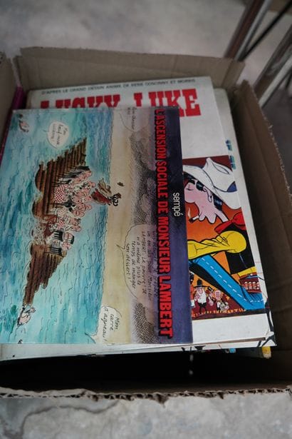 Réunion de bandes dessinées et livres d'enfant...