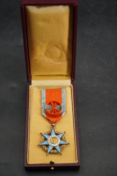 Une médaille mérite social. En l'état.