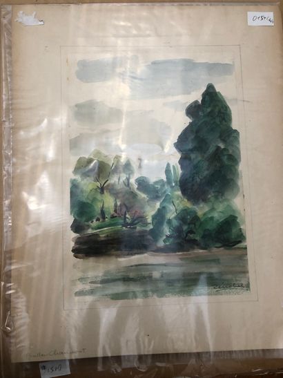 Jean Pierre ZENOBEL, Vue du Bois de Boulogne...