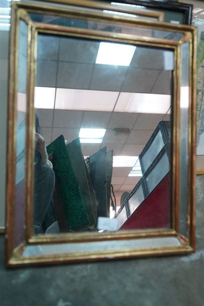 Miroir rectangulaire à parecloses en bois...