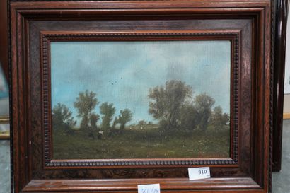 R. Van MULLER, (XIXe siècle), paysage aux...