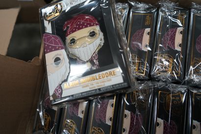 POP PIN, Dumbledore, un carton.