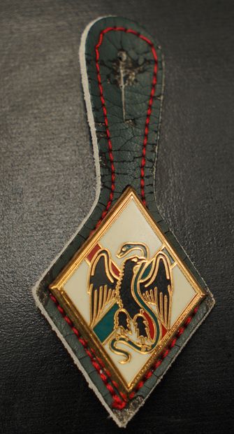 Réunion de trois insignes : 1er REI, 120ème...