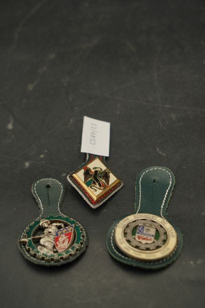 Réunion de trois insignes : 1er REI, 120ème...