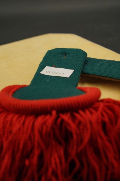 France, pattes d'épaulette de parade et ...