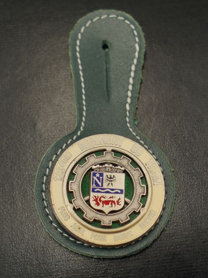 Réunion de trois insignes : 1er REI, 120ème...