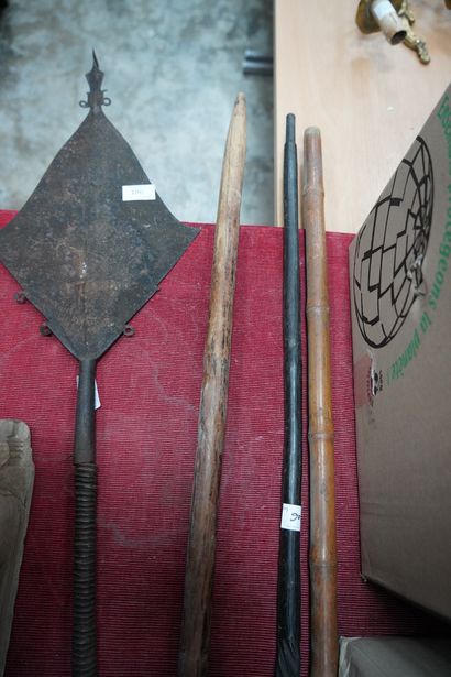 Réunion de cannes en bois sculpté et un sceptre...