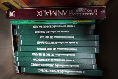 Réunion de jeux de société et ouvrages sur...