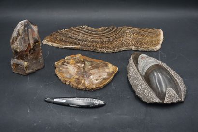 NATURALIA. Réunion de minéraux dont stromatolite,...