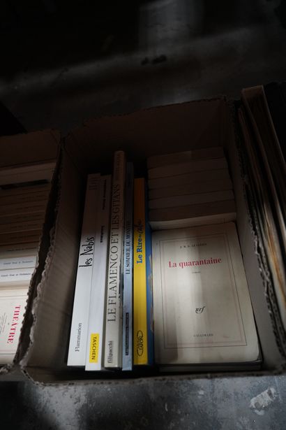 Réunion de disques vinyles, CD, livres courants...