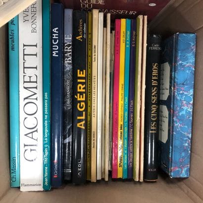 Réunion de bandes dessinées et quelques livres...