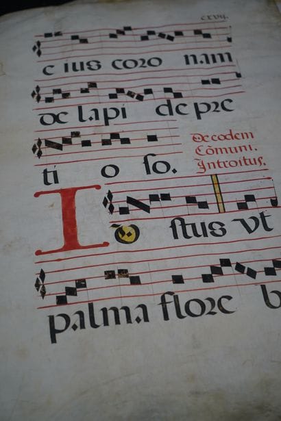 Réunion de pages d'antiphonaire sur vélin...