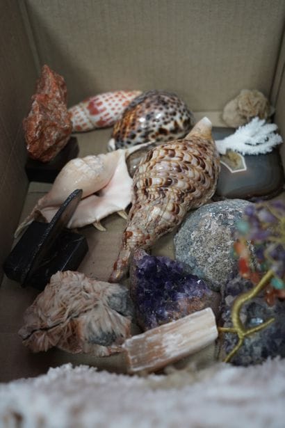 Réunion de cristaux, coquillages, et jeu...