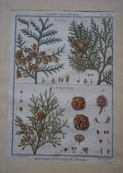 Réunion d’estampes variées. On joint des...