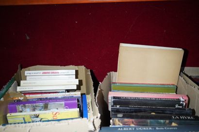 Réunion de livres Beaux- Arts. Sept cartons....
